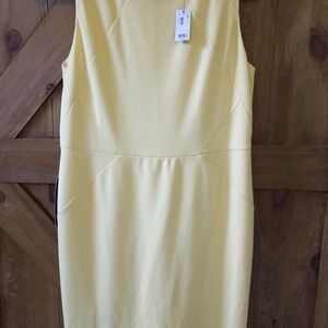 New With Tags The Limited Sunny Yellow Midi Dress